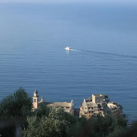 Rosse * Camogli