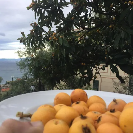 Rosse 3* Camogli