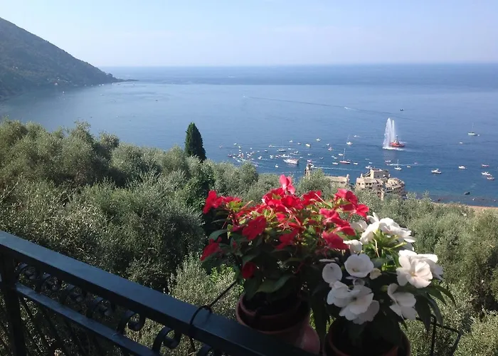 Rosse Bed & Breakfast