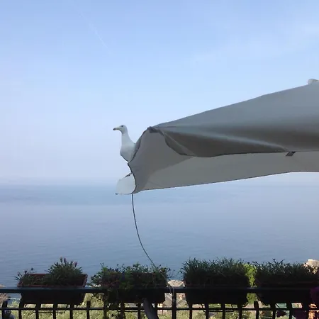 Rosse 4* كامولّي