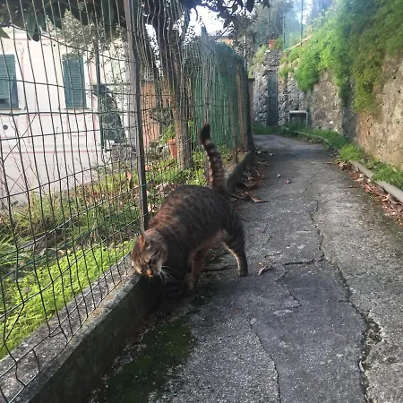 Bed and Breakfast Rosse Camogli