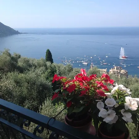 Rosse Bed & Breakfast