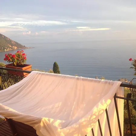 Rosse Camogli