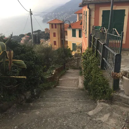 Rosse Camogli