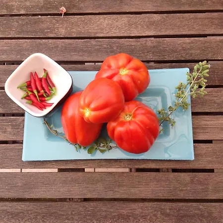 Bed and Breakfast Rosse 4*